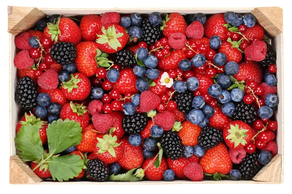 Fruits à baies dans une boîte en bois avec fraises, bleuets et ch — Photo