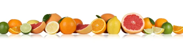Fruits oranges citron pamplemousse dans une rangée isolé — Photo