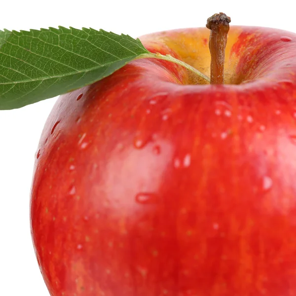 Закройте красные яблочные фрукты с изолированными листьями — стоковое фото