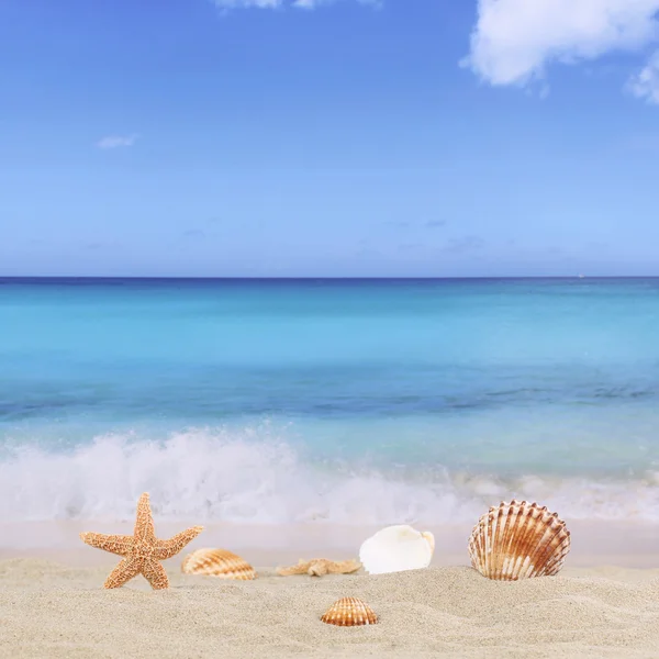 Fondo de playa de arena en vacaciones de verano con mar y —  Fotos de Stock