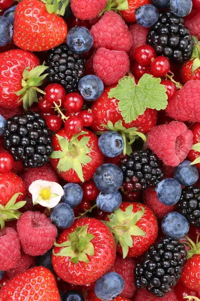 Buah beri latar belakang dengan stroberi, blueberry dan merah — Stok Foto