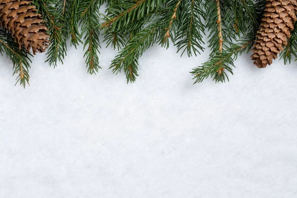Weihnachten Hintergrund mit Tannenzweigen, Zapfen und Schnee — Stockfoto