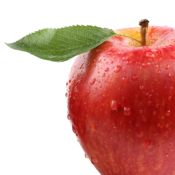 Owoce czerwone jabłko zbliżenie z liść na białym tle — Zdjęcie stockowe