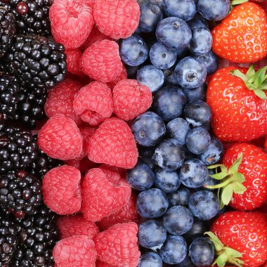 Berry meyve çilek, yaban mersini ve raspber ile üst üste