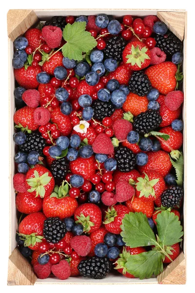 Berry fruits in wooden box with strawberries, blueberries, cherr — Stock Photo, Image
