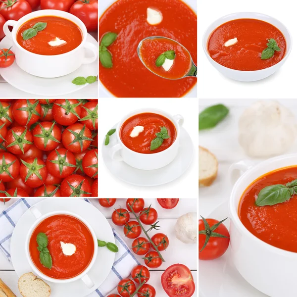 Raccolta di minestre di minestra di pomodoro con pomodori — Foto Stock