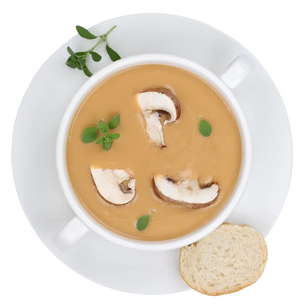 Sopa de champiñones con champiñones en tazón aislado de arriba —  Fotos de Stock