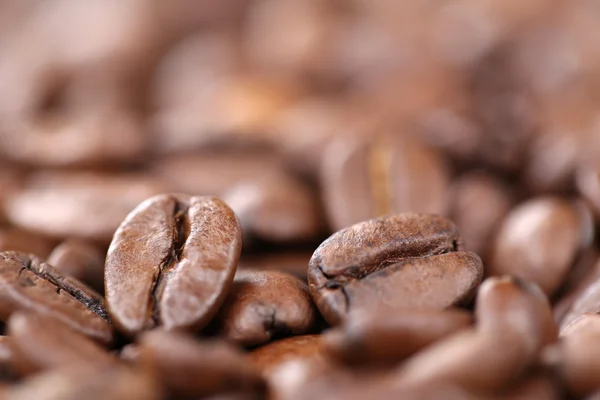 Kaffebönor med copyspace — Stockfoto