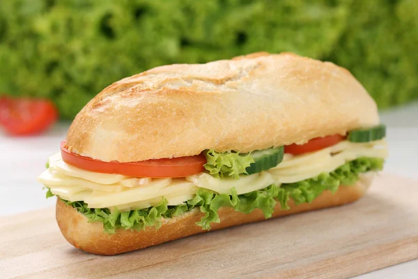 Sub deli sandwich baguette with cheese — Stock Photo, Image