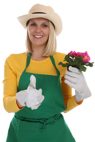 Jardinero jardinero mujer con flor jardinería jardín ocupación t — Foto de Stock
