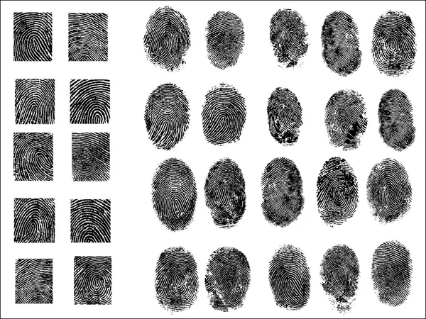 30 Huellas dactilares detalladas — Archivo Imágenes Vectoriales