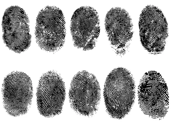 10 FingerPrints — Stock Vector