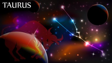 Toros Burcunuz ve kopya alanı