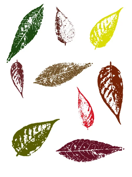 Grunge elements - Autumn Leaves II — Stock Vector