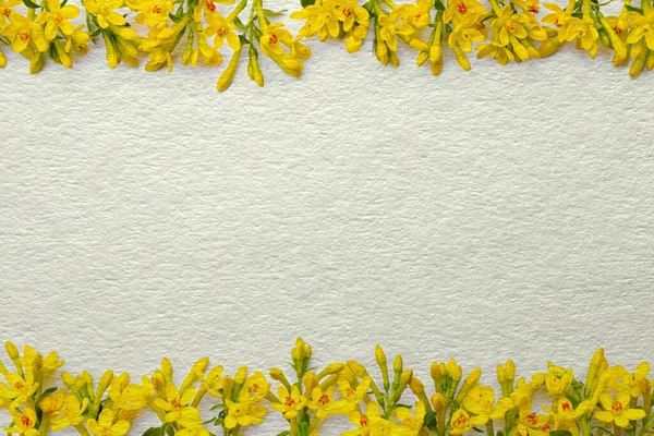 黄色の春の花の下と上に位置する多くの小さな小枝で構成されるヴィンテージフレーム — ストック写真