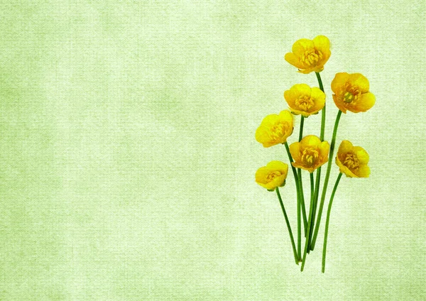 野の花の構成 デザインのためのスペースと緑のヴィンテージの背景に黄色の花の花束 春のコンセプト フラットレイアウト トップビュー コピースペース — ストック写真