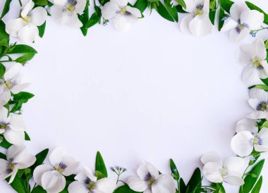 Beyaz arka planda menekşelerden ve yeşil dallardan oluşan çiçek çerçevesi