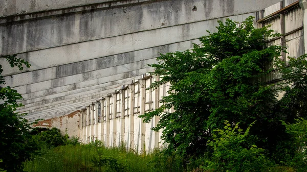 Abandonada Arruinada Velha Fazenda Coberta Arbustos Árvores — Fotografia de Stock