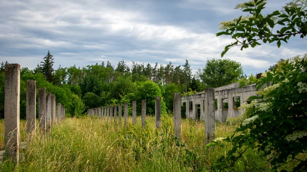 Abandonada Arruinada Vieja Granja Cubierta Arbustos Árboles —  Fotos de Stock