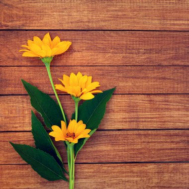 Ahşap bir arka planda çiçek aranjmanı ve dizayn için alan. Sarı papatyalar.