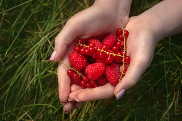 Handful Ripe Juicy Appetizing Raspberries Red Currants — Stock Photo, Image