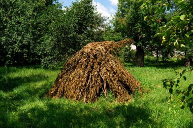 Yeşil çimenlerin üzerinde büyük bir kuru dal yığını. Saçmalık..