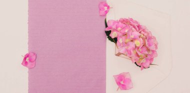 Tasarım için kopya alanı olan bir zarfın içinde pembe ortanca çiçekleri.