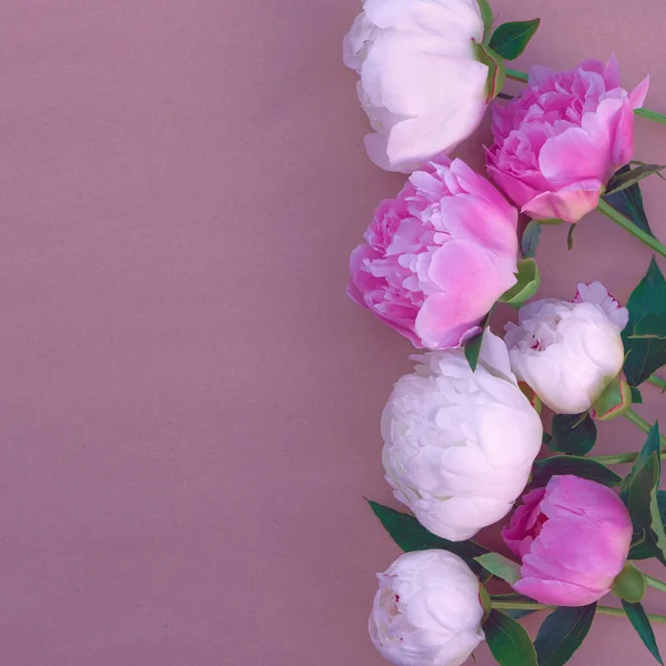 粉色和白色牡丹的花束与设计所需的复制空间紧密相连 — 图库照片