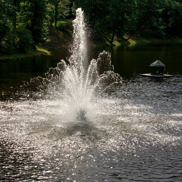 Fontaine Lumineuse Dans Lac Sur Fond Arbres — Photo
