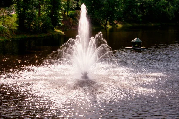 Fontaine Lumineuse Dans Lac Sur Fond Arbres — Photo