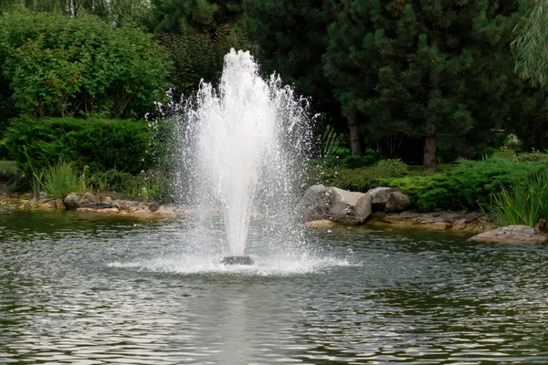 Ağaçların arka planında göldeki parlak ışık kaynağı