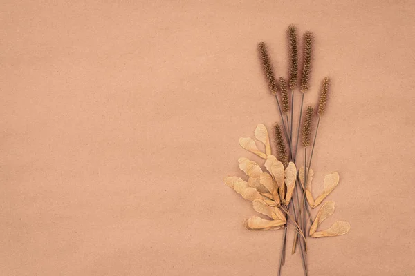 Buquê Plantas Campo Seco Fundo Pastel Com Espaço Cópia — Fotografia de Stock