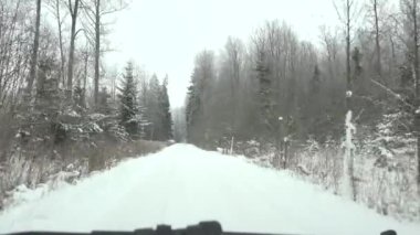 Kar kış orman şekilde kaplı.