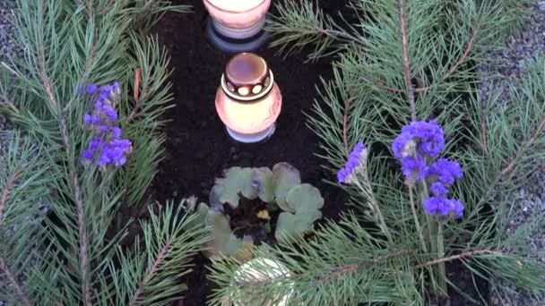 Свечи и ветви сосен украшены на могиле кладбища . — стоковое видео