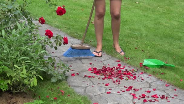 Kadın peyzaj mimarı kadın bahçede düşmüş gül yaprakları ile gelen taş Arnavut kaldırımlı yol süpürme. — Stok video