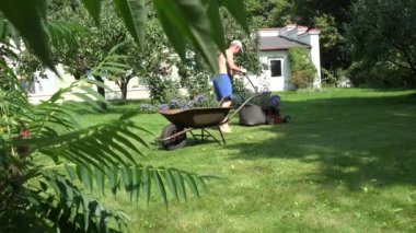 Adam mow çim kesme biçme makinesi ile kesme ve çim torbaya koymak.