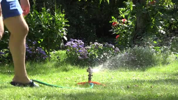 Gardener uomo tubo della spina per irrigazione strumento spruzzatore e spruzzare fiori d'acqua e prato. 4K — Video Stock