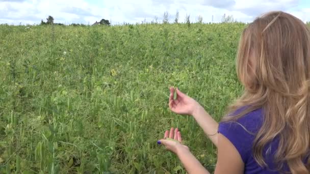 La contadina bionda del villaggio raccoglie baccelli di piselli maturi nelle piantagioni agricole. 4K — Video Stock