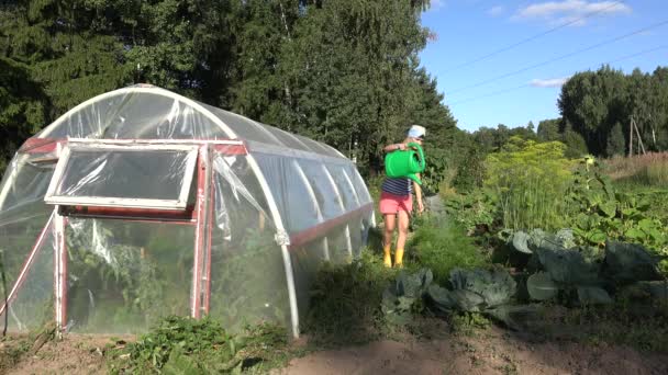 Женщина в шортах и резиновых сапогах поливает морковные растения возле теплицы в огороде. 4K — стоковое видео