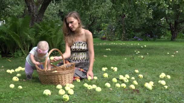 Schattig tuinman moeder en haar één jaar oude baby dochter appels plukken tot rieten mand. 4k — Stockvideo