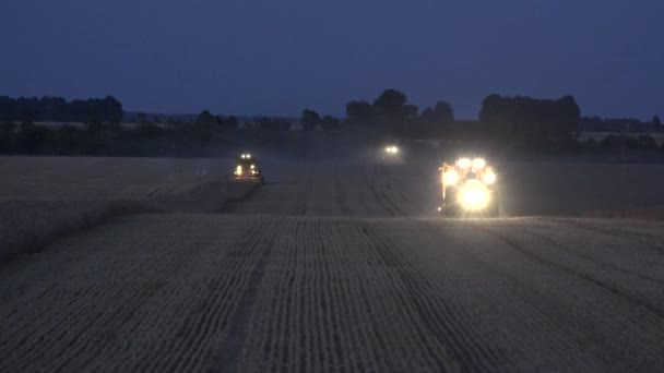 Tractor con remolque y se combina con la luz cultivando cebada centeno campo de trigo por la noche. 4K — Vídeos de Stock