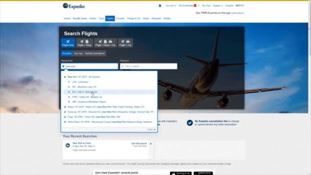 Procurar bilhetes de avião no site — Vídeo de Stock