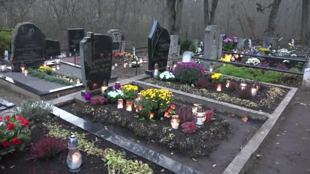 Hermosas flores y velas en el cementerio rural cerca del bosque. 4K — Vídeo de stock