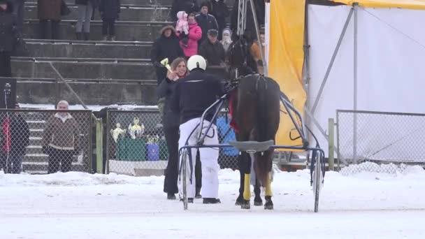 Koń rasy zwycięzca nagrody Puchar i medal award w zima śnieg Hipodrom. 4k — Wideo stockowe