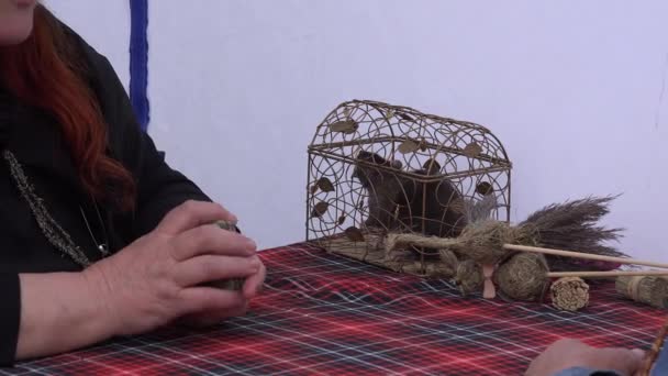 Spåkvinnan med musen i bur förutse ödet av tarot-kort. 4k — Stockvideo