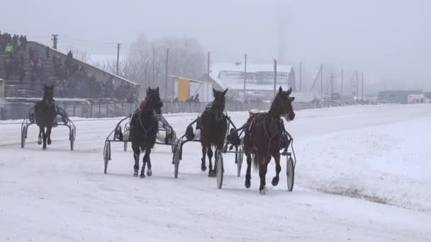 Всадники согревают лошадей перед скачками на ипподроме зимой. 4K — стоковое видео
