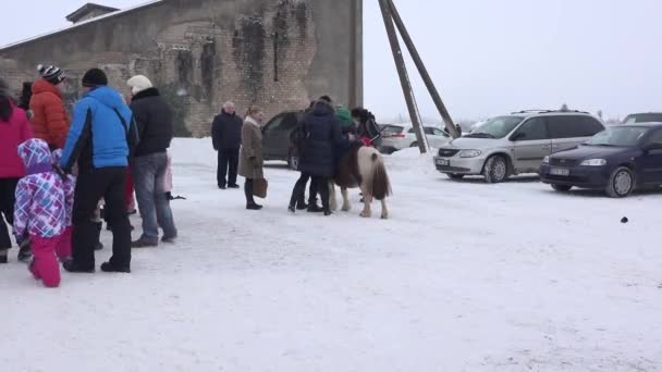 People with warm clothes and children ride pony animal. 4K — Stock Video