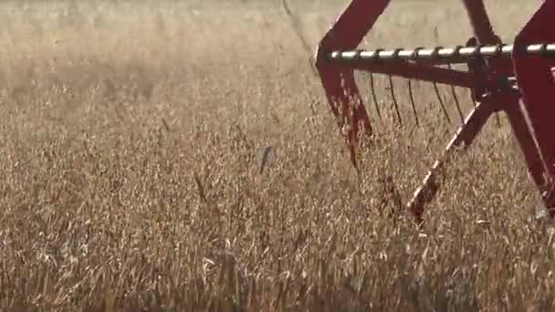Close-up van agrarische combineren machine met reel en cutter bar het dorsen van haver. Panorama. 4k — Stockvideo