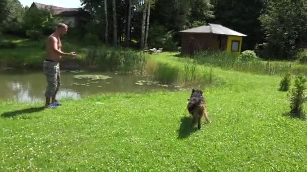 Glücklicher Schäferhund spielt mit Männern. 4k — Stockvideo