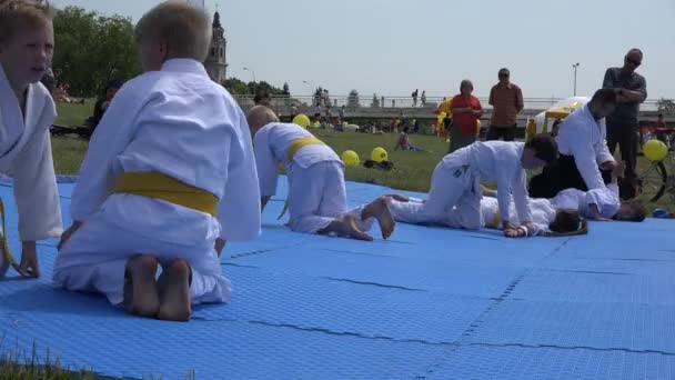 Niños jóvenes de karate entrenan ejercicios de autoprotección. 4K — Vídeo de stock